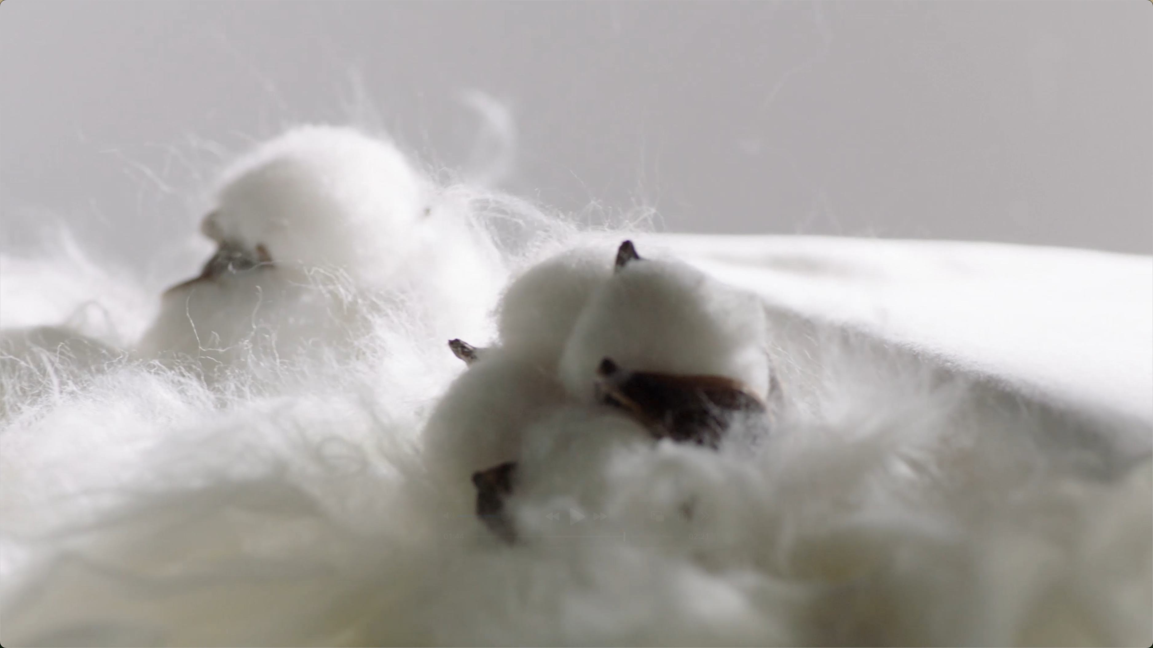 用好材料、、、、好工艺做好产品